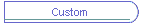 Custom